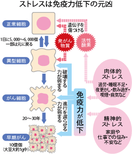 「いいご縁」はもう古い？お賽銭11円に隠された現代の罠と、神社が悲鳴を上げる「硬貨手数料」のリアル