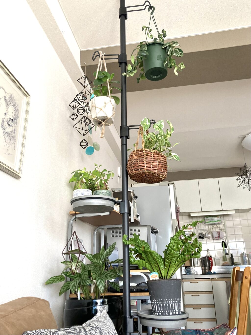 観葉植物の飾り方完全ガイド！狭い部屋も垢抜けるプロの最新配置術