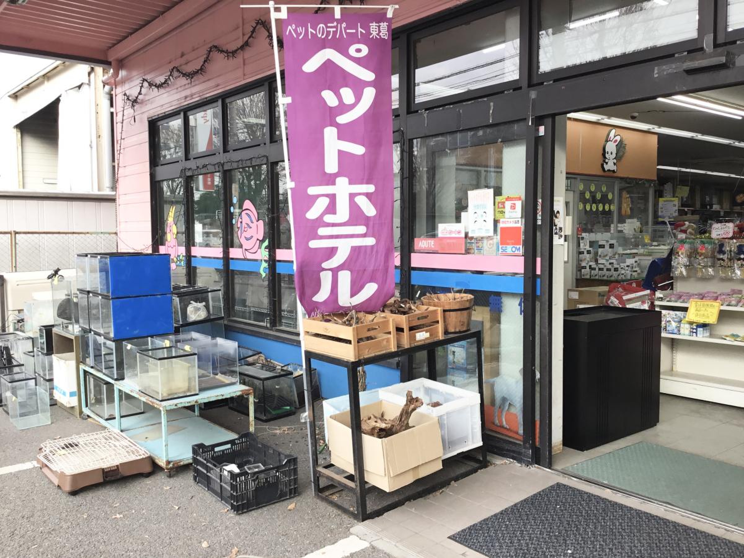 ペットのデパート東葛厚木店のリアルな評判は？料金や生体の真相を徹底解説
