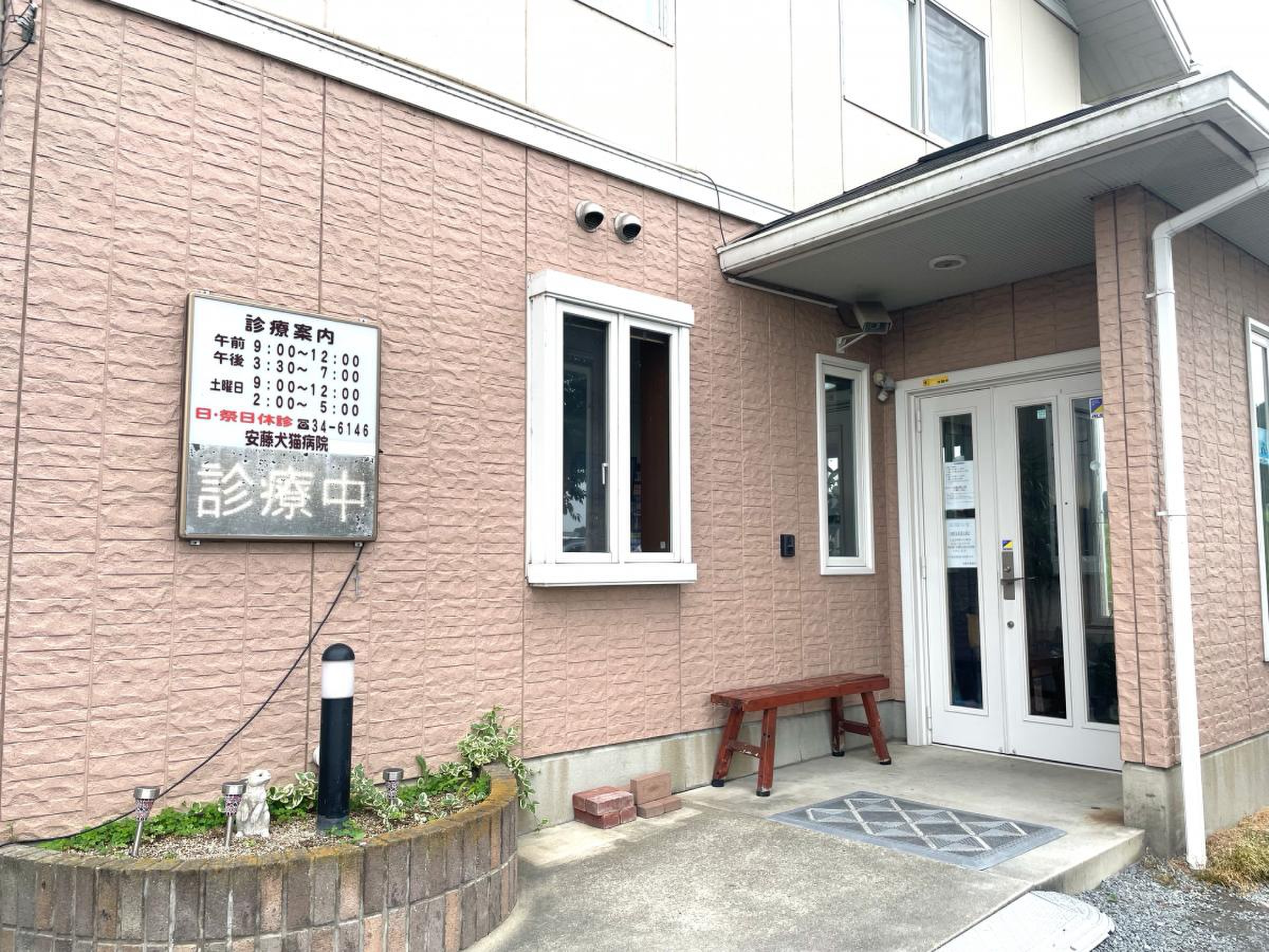 安藤犬猫病院の評判と口コミを徹底検証！受診前に知るべき全知識