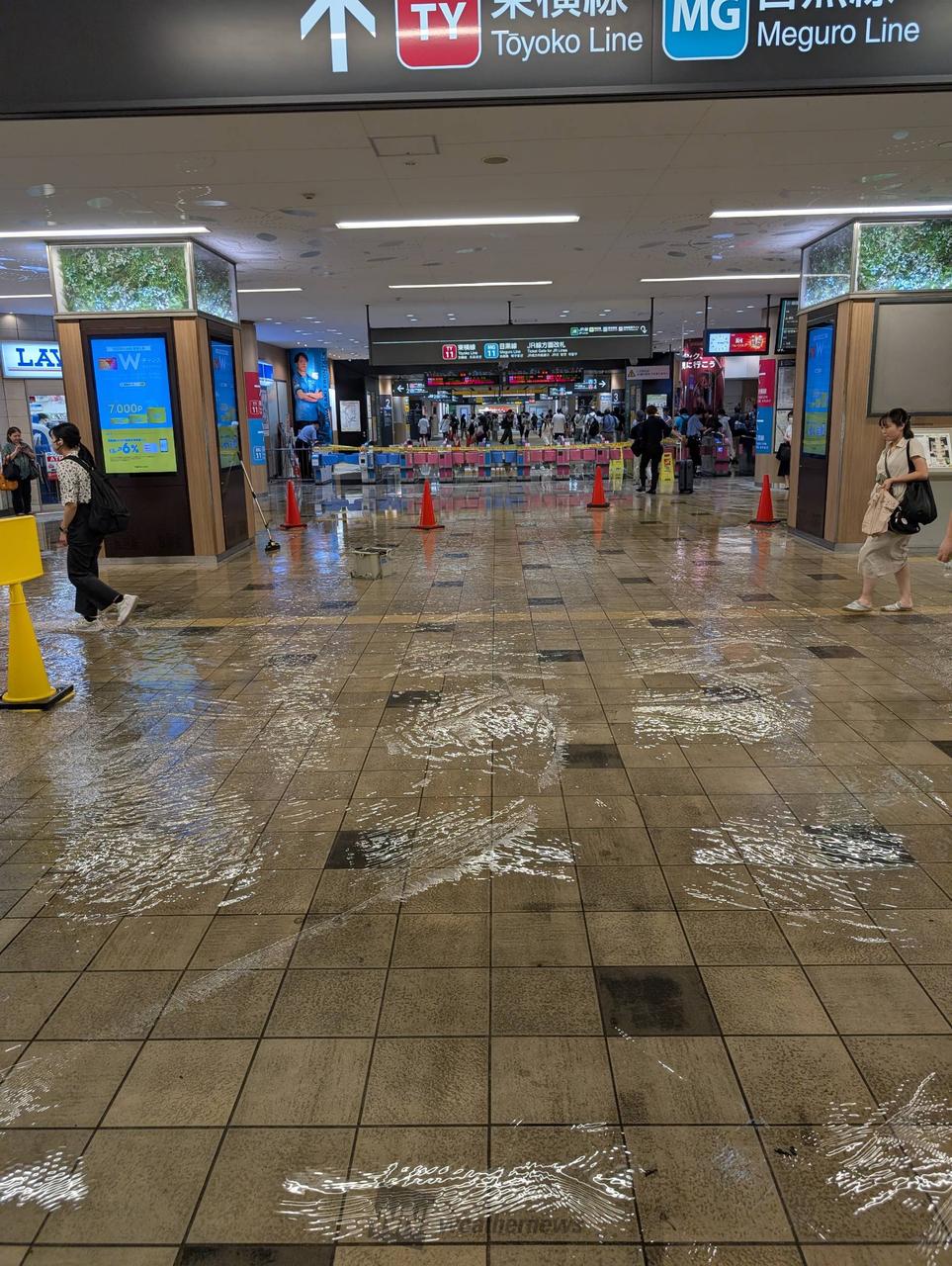 武蔵小杉の冠水理由は？タワマン浸水と現在の対策・資産価値を徹底検証
