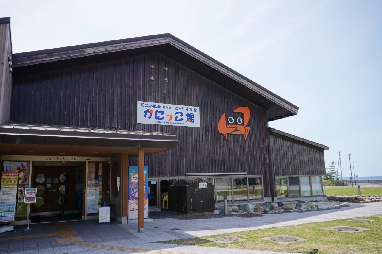 とっとり賀露かにっこ館が無料の理由とは？見どころとランチを徹底検証
