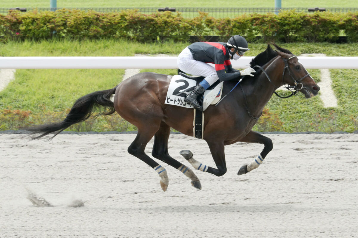 東京1レースで波乱頻発？朝イチ勝負を制する攻略法と馬場・展開の極意