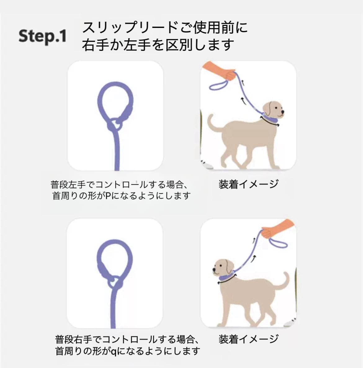スリップリードとは？危険やかわいそうの真相としつけ効果・正しい使い方