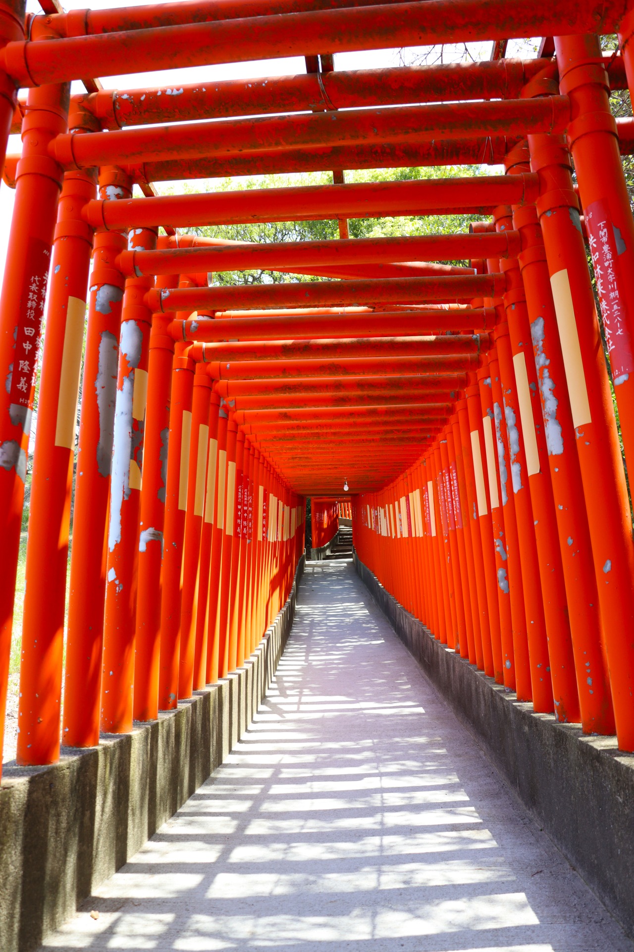 山口・福徳稲荷神社の絶景と金運ご利益の真相！千本鳥居の秘密を徹底解剖
