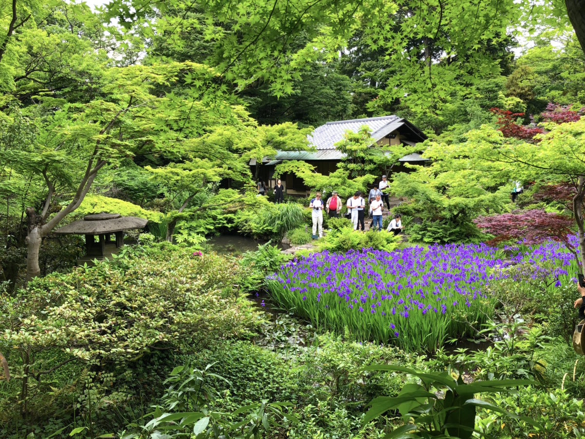 根津美術館の写真ルール徹底解剖！映える庭園と撮影禁止の境界線