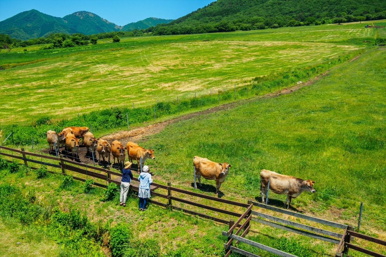 岡山県蒜山高原の決定版見どころ！絶品グルメと絶景旅ガイド