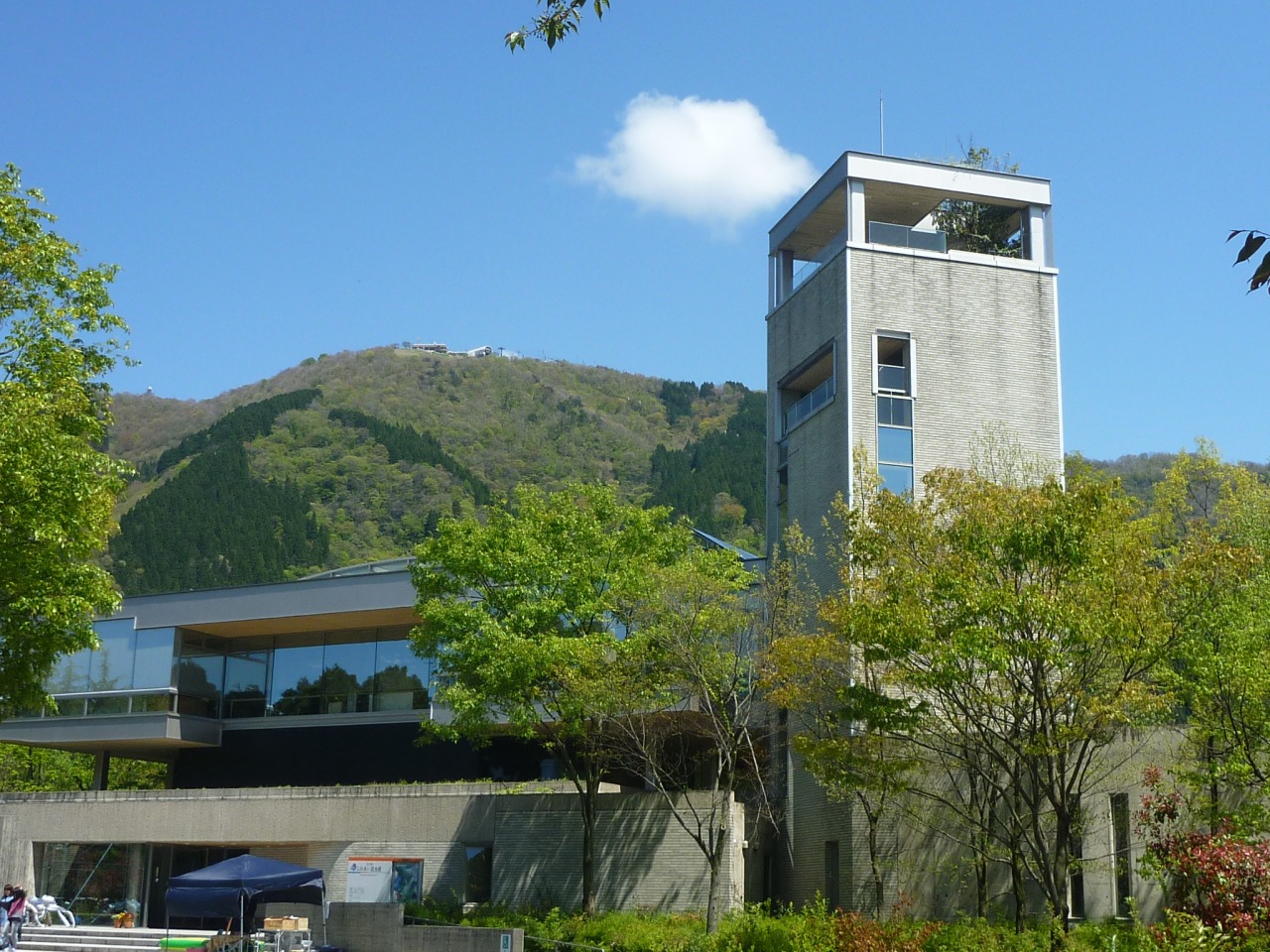 石川県ふれあい昆虫館の見どころと混雑・割引＆所要時間完全攻略