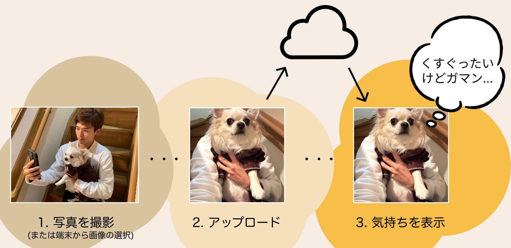 犬の気持ちがわかる無料アプリ検証！鳴き声翻訳の精度とリアルな口コミ