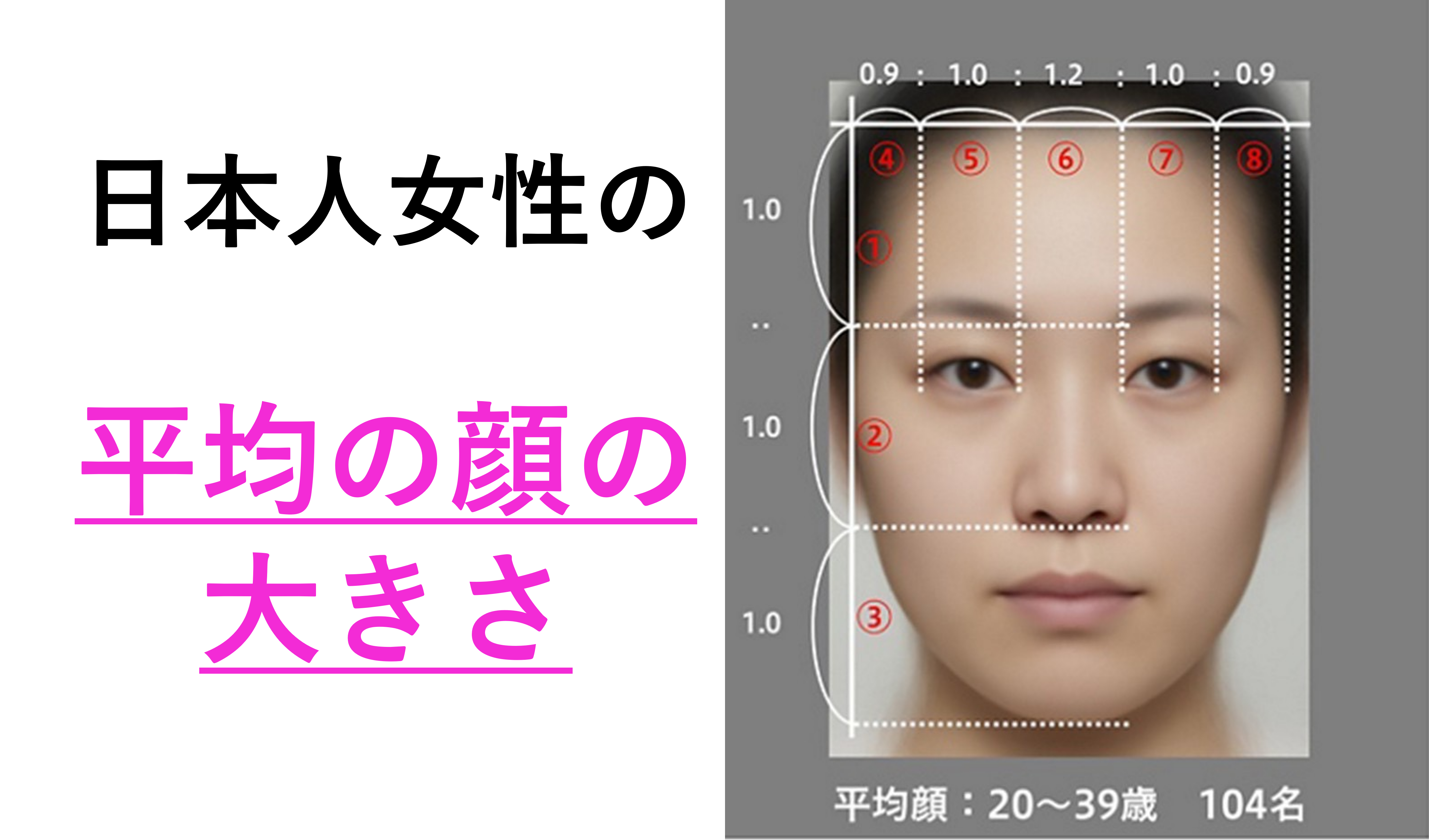 顔の大きさ平均データ徹底解剖！日本人の男女別基準と小顔の真実