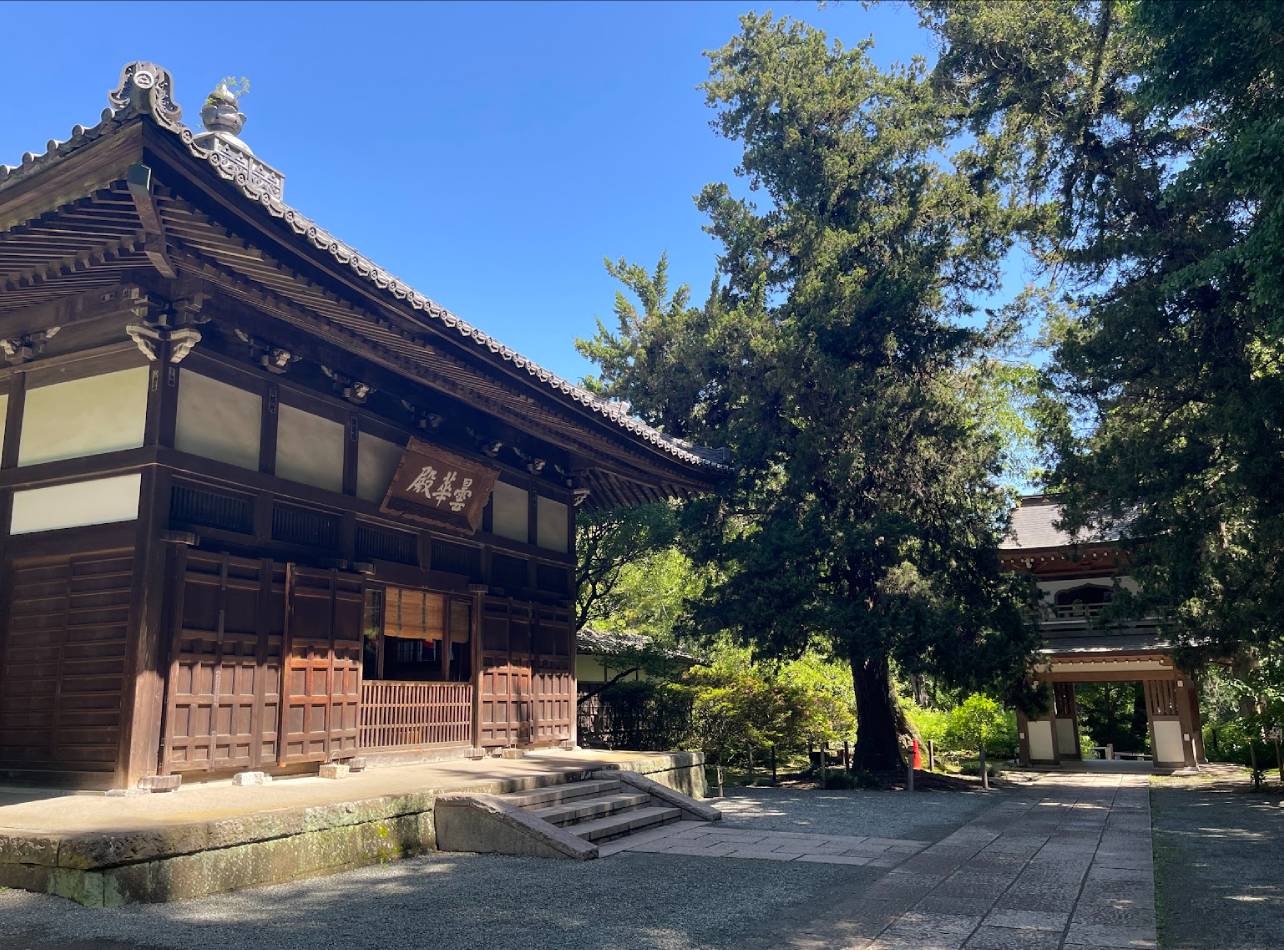 北鎌倉・浄智寺の深層！異国情緒漂う鐘楼門と布袋尊の秘密を徹底解剖