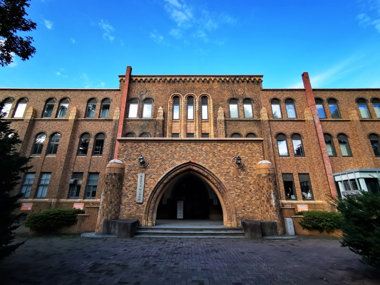 北海道大学総合博物館の見どころと所要時間！無料の魅力を徹底解剖