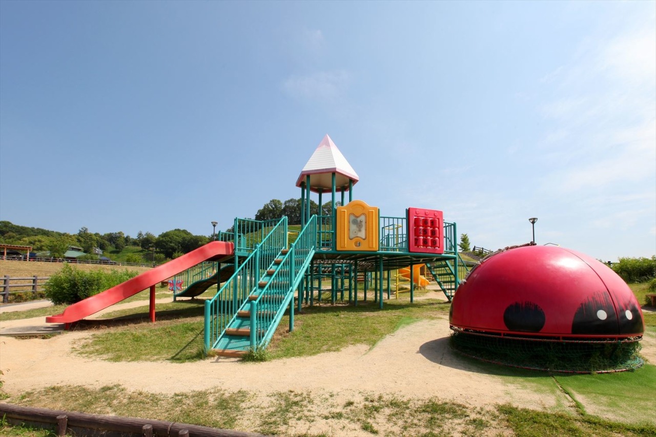 里庄町つばきの丘運動公園が藤井風の聖地となった理由と2026最新情報