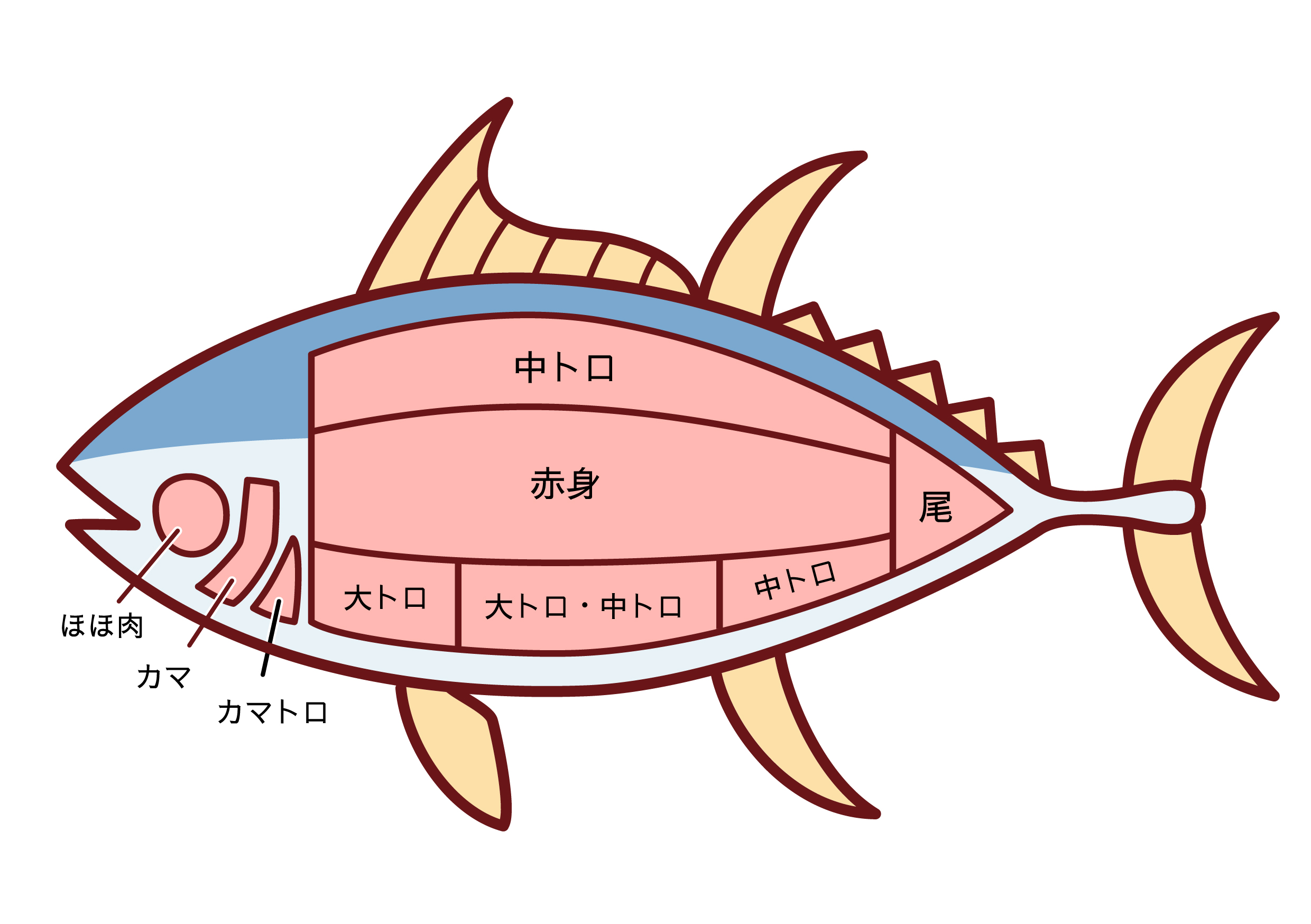 マグロ漁船に乗る女性の真相｜驚愕の年収と過酷すぎる実態を徹底解説