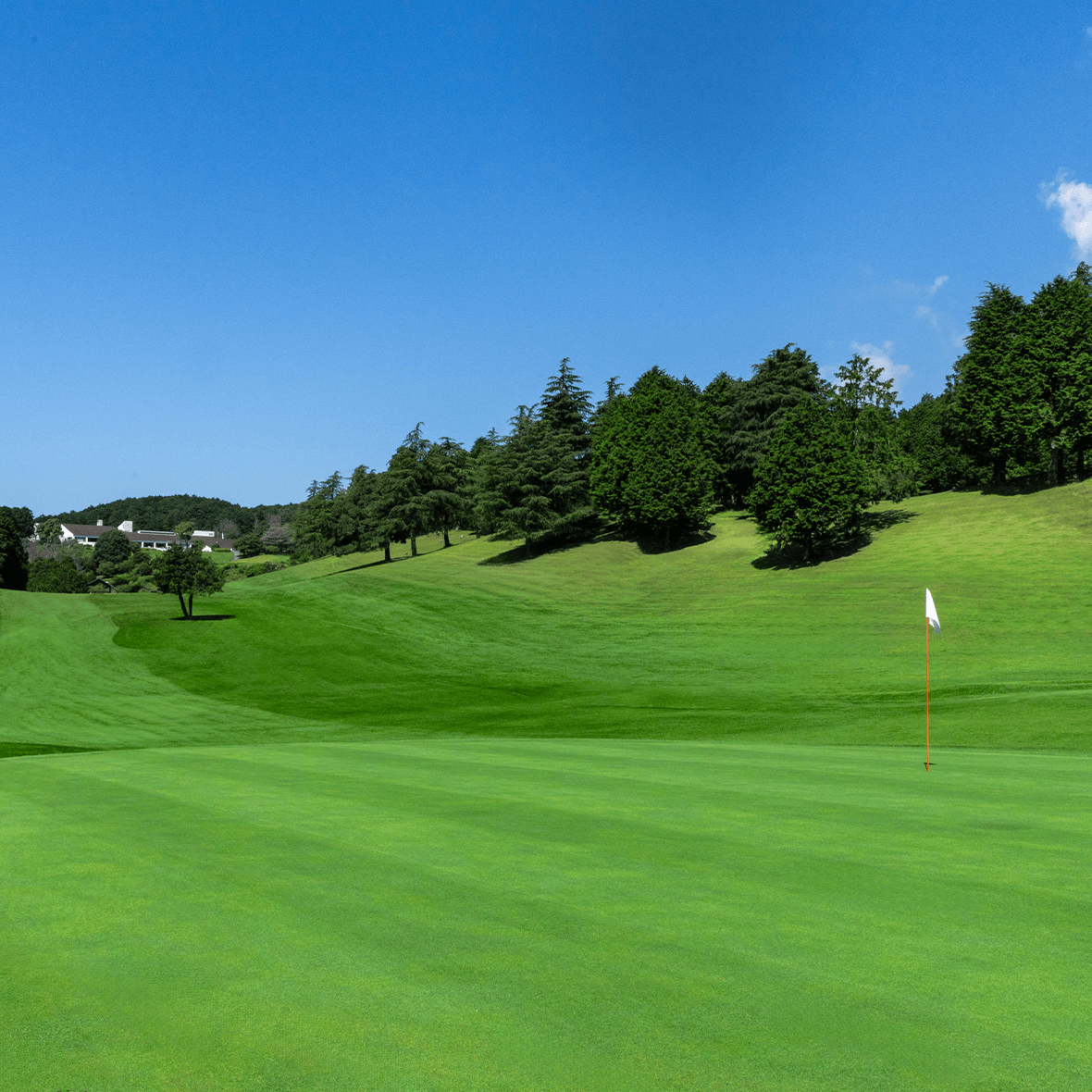 三島ゴルフ倶楽部Pgmの評判と難易度攻略！絶景の真実【2026】