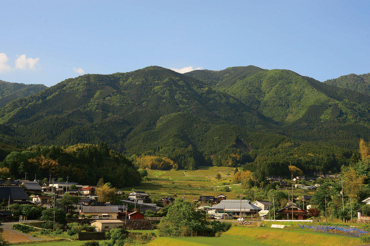 なぜ岡山県美作市に人が集まるのか？名湯と移住支援の全貌に迫る
