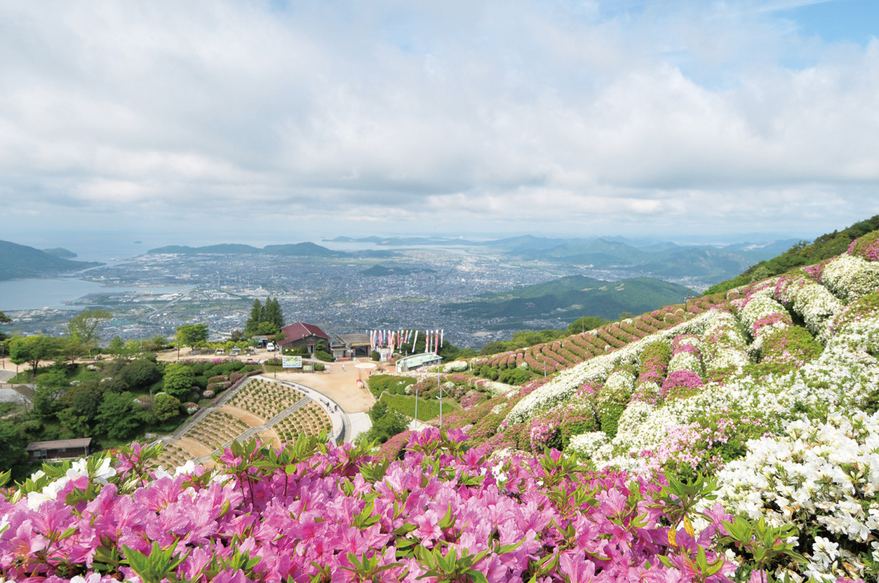 大平山山頂公園の現在に驚きの声！夜景と遊具刷新の真相を徹底追跡
