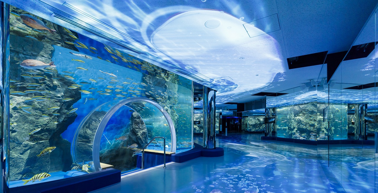 のとじま水族館の営業再開と現在！ジンベエザメの動向と見どころ検証