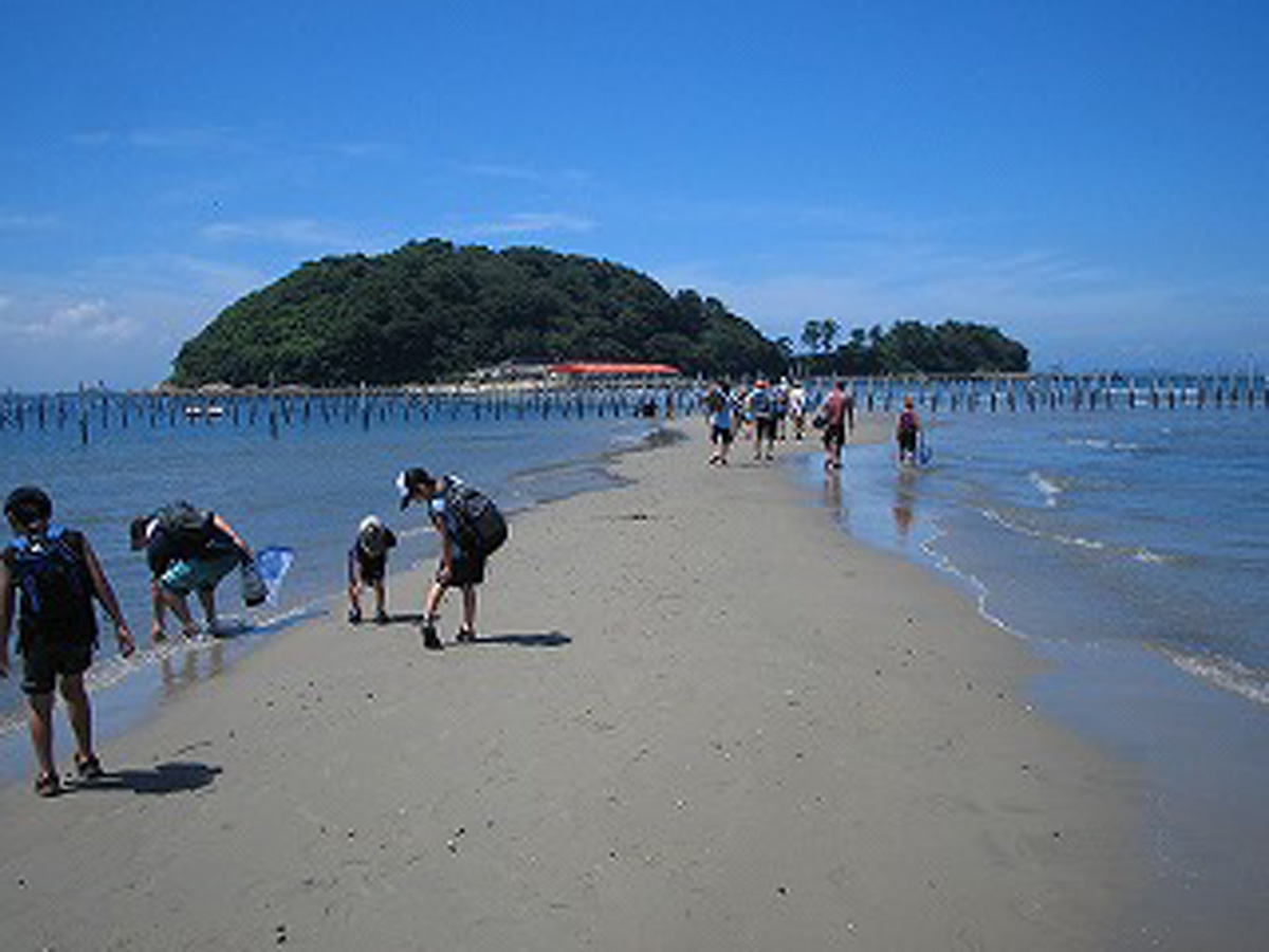 東幡豆海岸のトンボロ現象と潮干狩り｜2026年最新の干潮・料金攻略