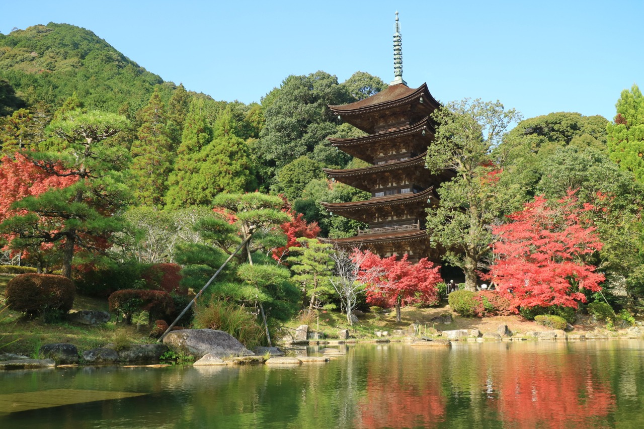 瑠璃光寺五重塔の改修はいつまで？2026年最新と見られない噂の真相