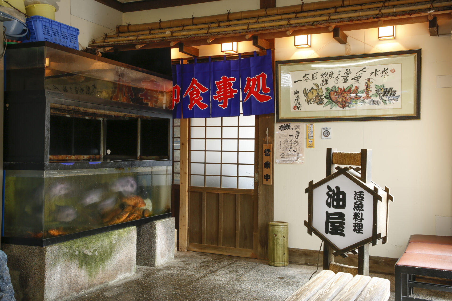 お食事処油屋の評判と混雑真相は？海鮮丼の満足度や待ち時間を徹底検証