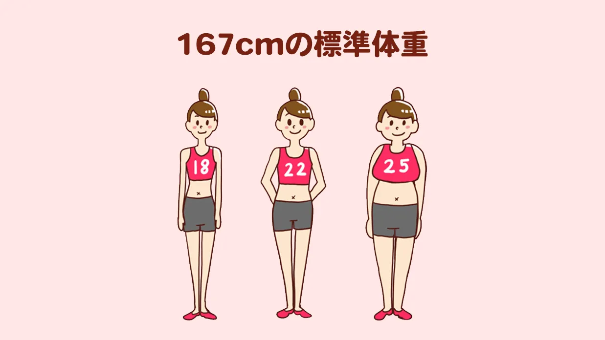 167Cmの理想体重は何キロ？標準・美容体重の差と綺麗に見える黄金比