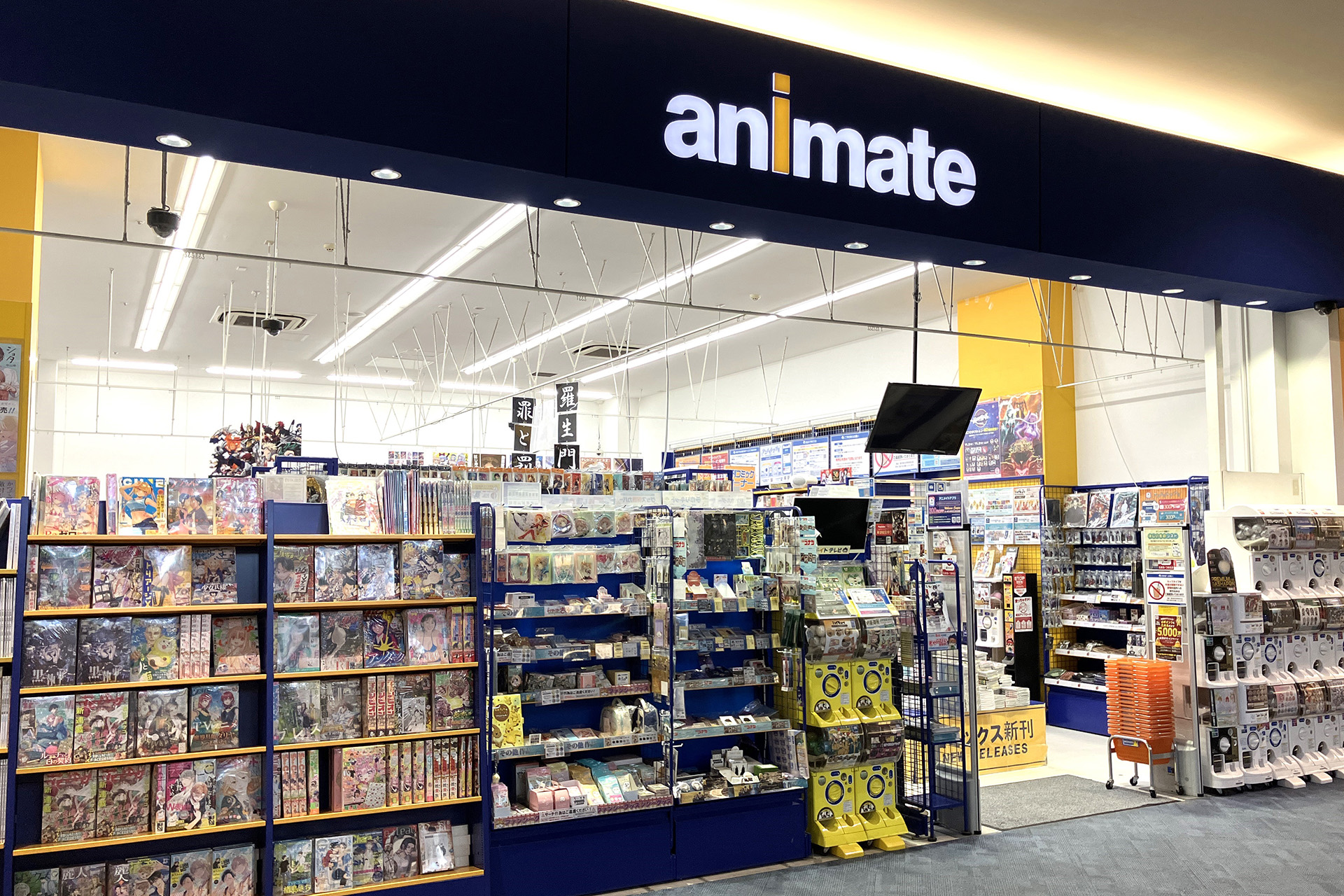 アニメイト名古屋はなぜ日本最大級？売り場面積と品揃えの真相を徹底調査
