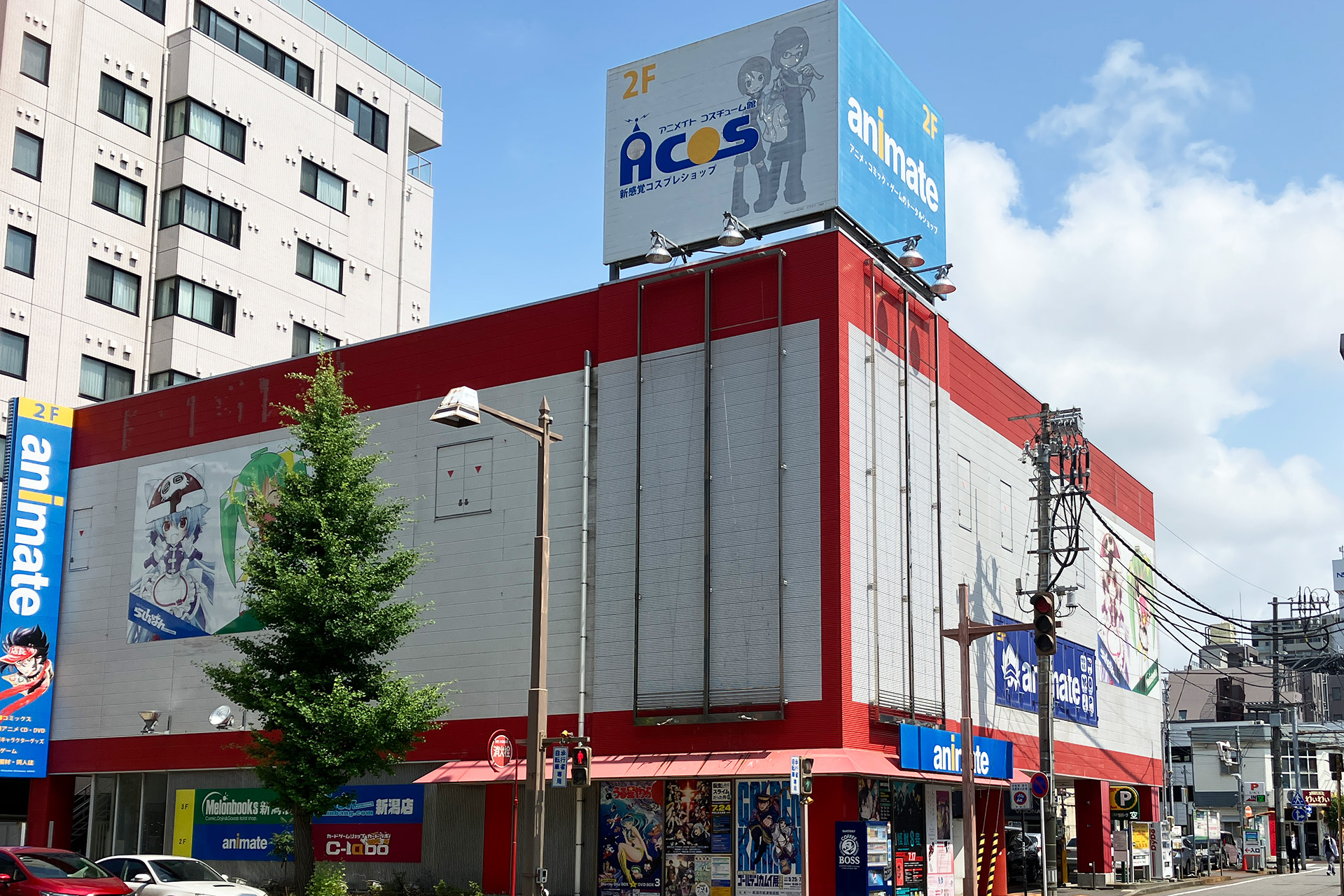アニメイト新潟を完全攻略！Bp2移転の真相や駐車場と周回ルート2026