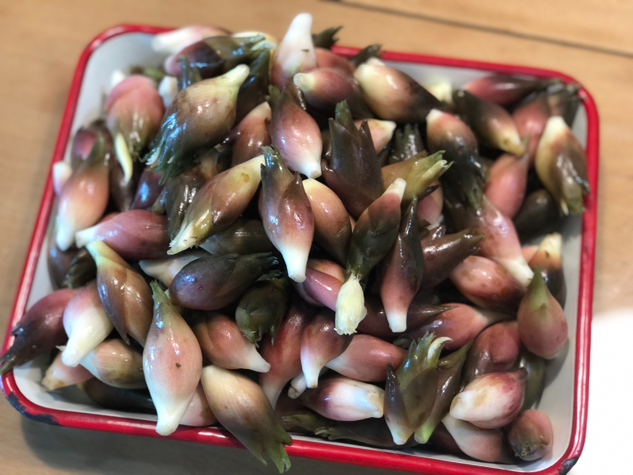 ミョウガの保存方法で激変！風味と食感を1ヶ月保つ決定版裏技