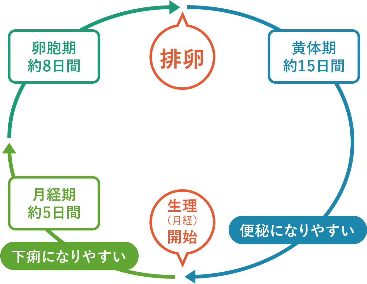 毎月つらい生理前の下痢と腹痛！ホルモンが招く原因と最新対処法
