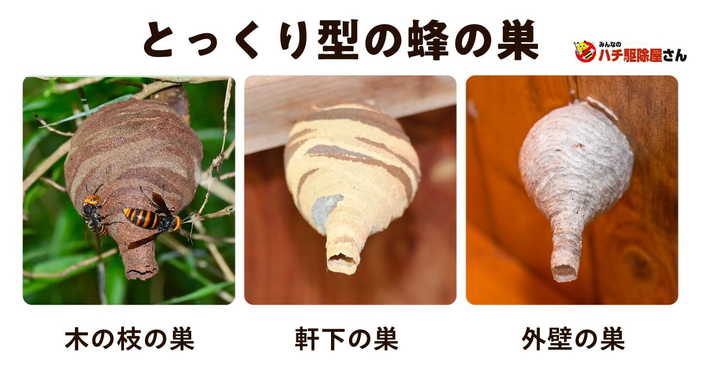 軒下のとっくり型の蜂の巣は猛毒注意！正体と安全な自力駆除法