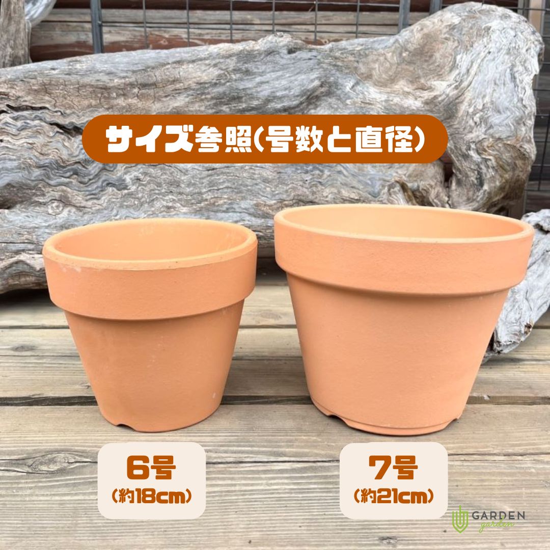 7号鉢のサイズは何センチ？土の量や失敗しない植物選びを徹底解説