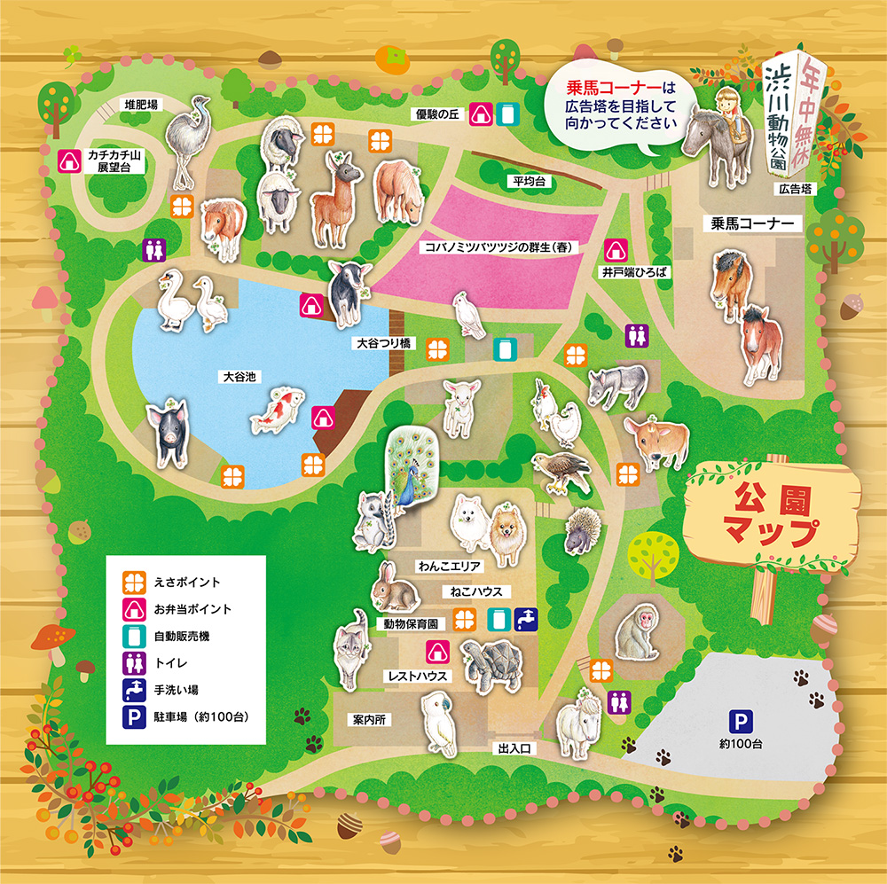 2026年最新リポート：なぜ今、岡山「渋川動物公園」に人が殺到するのか？自然そのままの園内で出会う感動のリアル