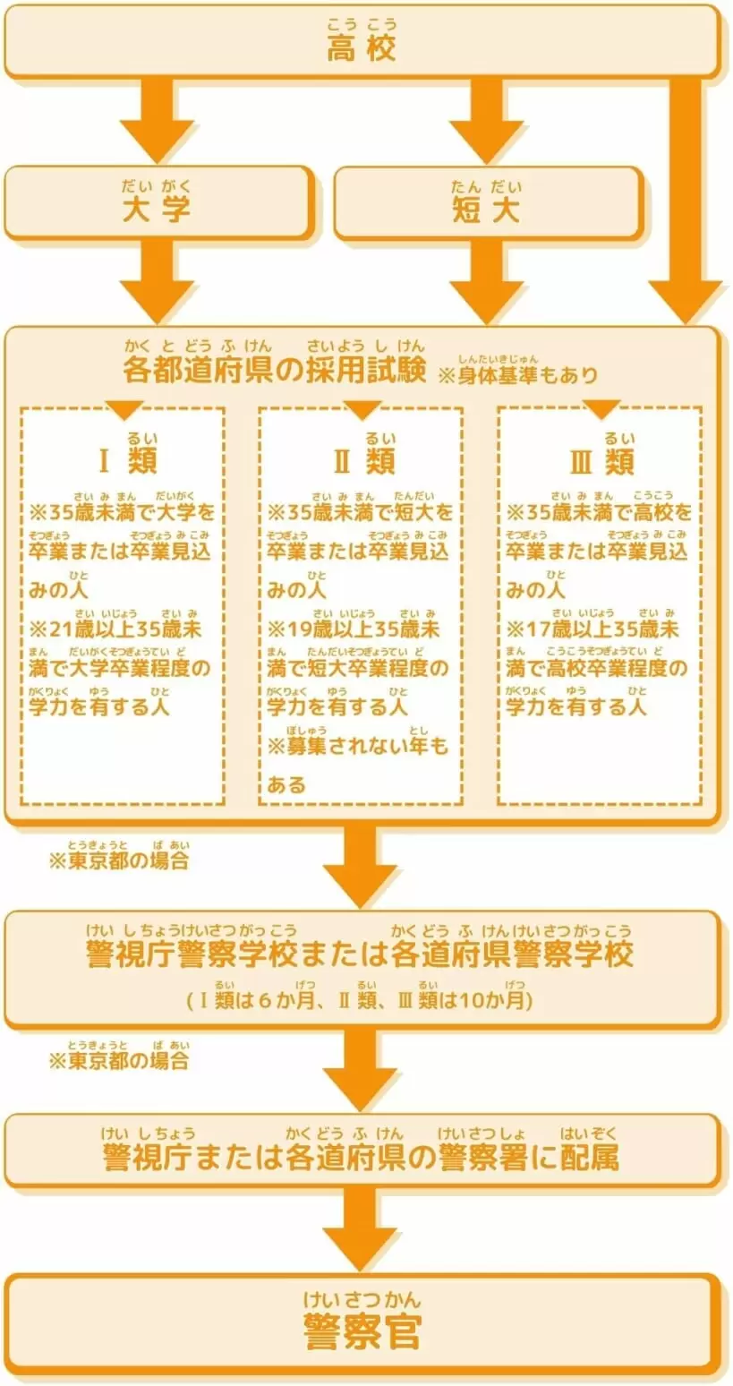 【2026年最新】警察官になるには？難易度・倍率と警察学校のリアル