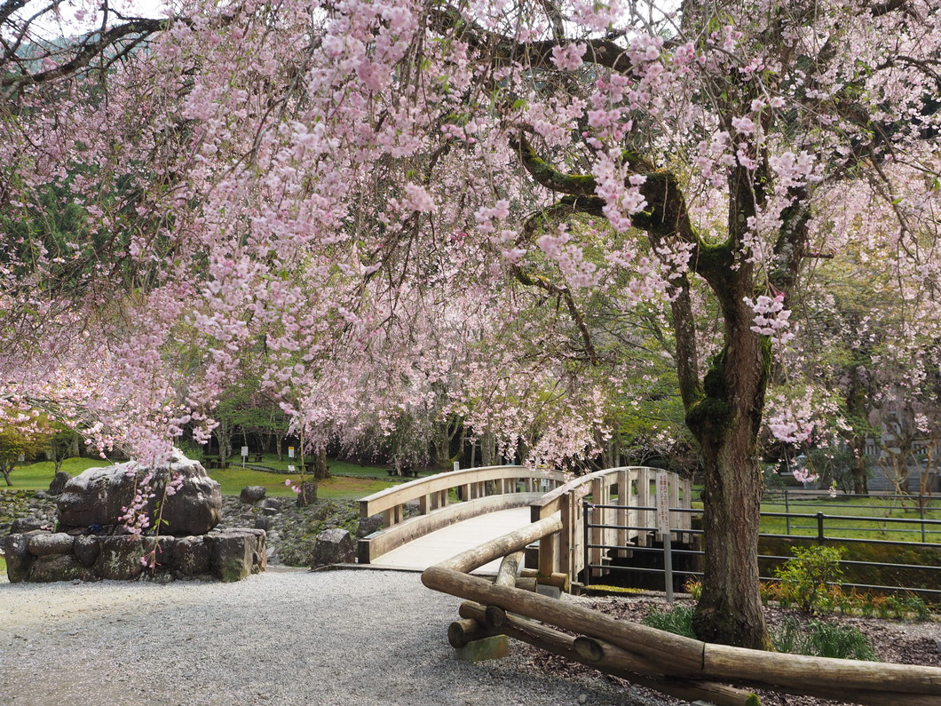 あきつの小野公園と蜻蛉の滝を徹底解剖！見頃・アクセスと現地の真実