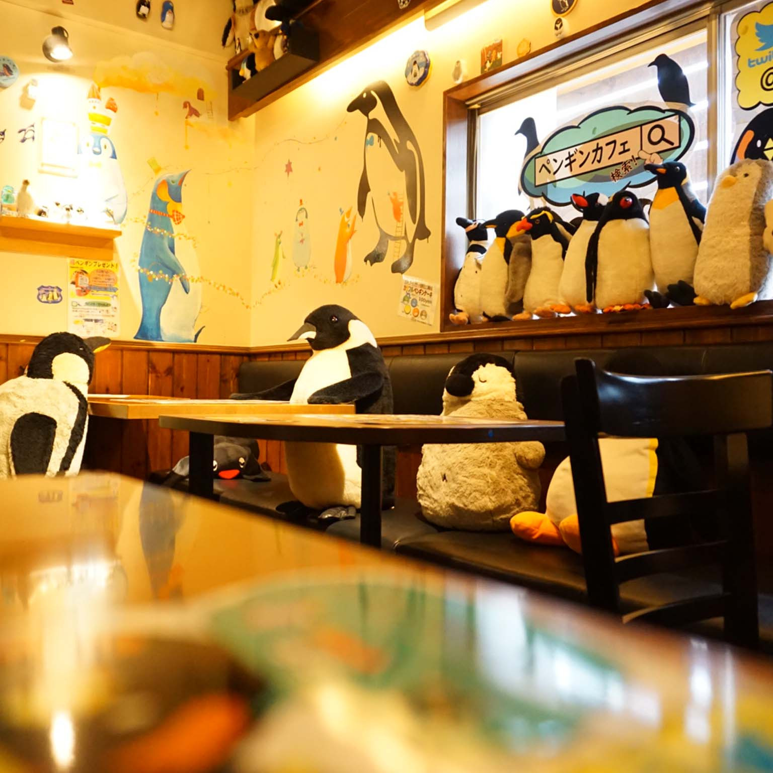 2026年、名古屋のペンギンカフェが世界を魅了中！癒やしと最新動物福祉が織りなす「都市型オアシス」の全貌