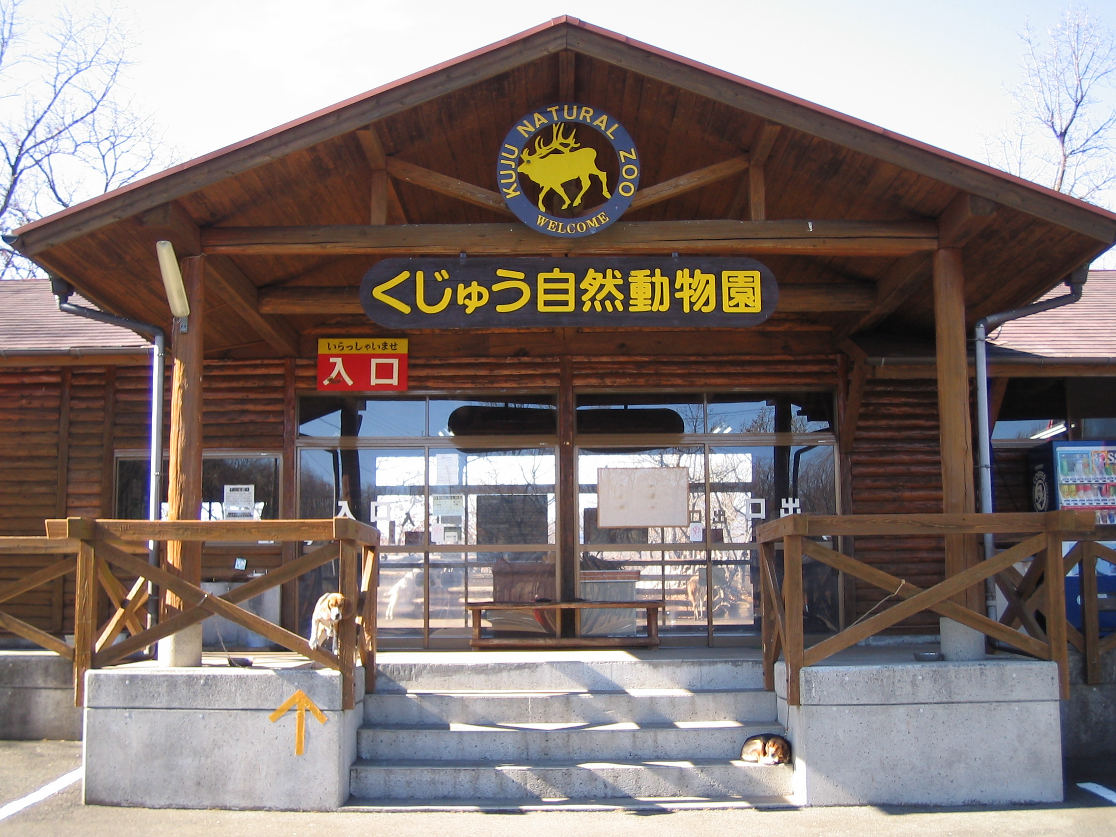 くじゅう自然動物園の現在と評判は？料金や噂の真相を徹底解説