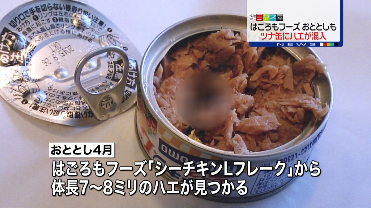 ツナ缶ゴキブリ混入の真相と裁判判決｜なぜ自主回収は見送られたのか