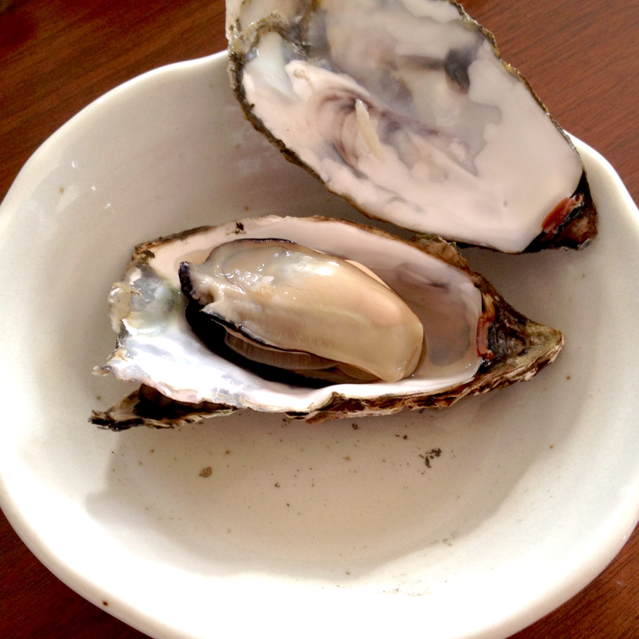 江戸川の牡蠣は食べられる？違法性と大量発生の真相を徹底追究