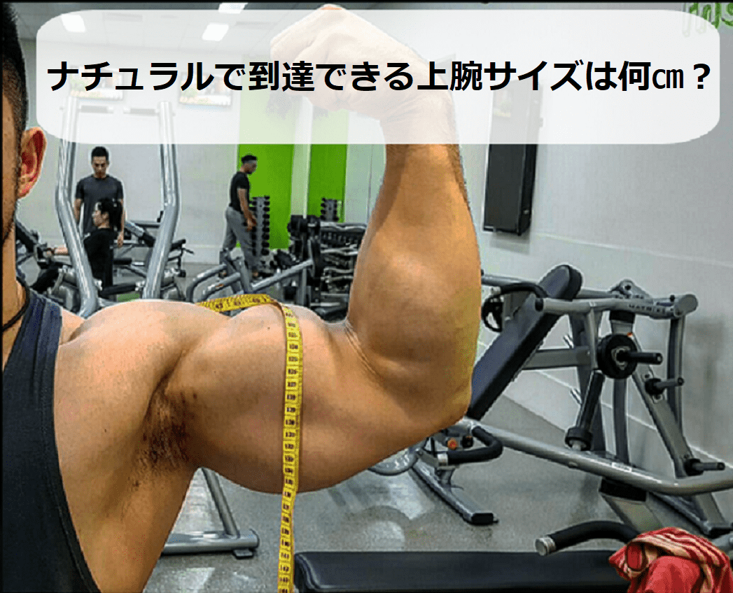 腕の太さ平均と理想サイズを徹底比較！男女年代別の基準値と改善策