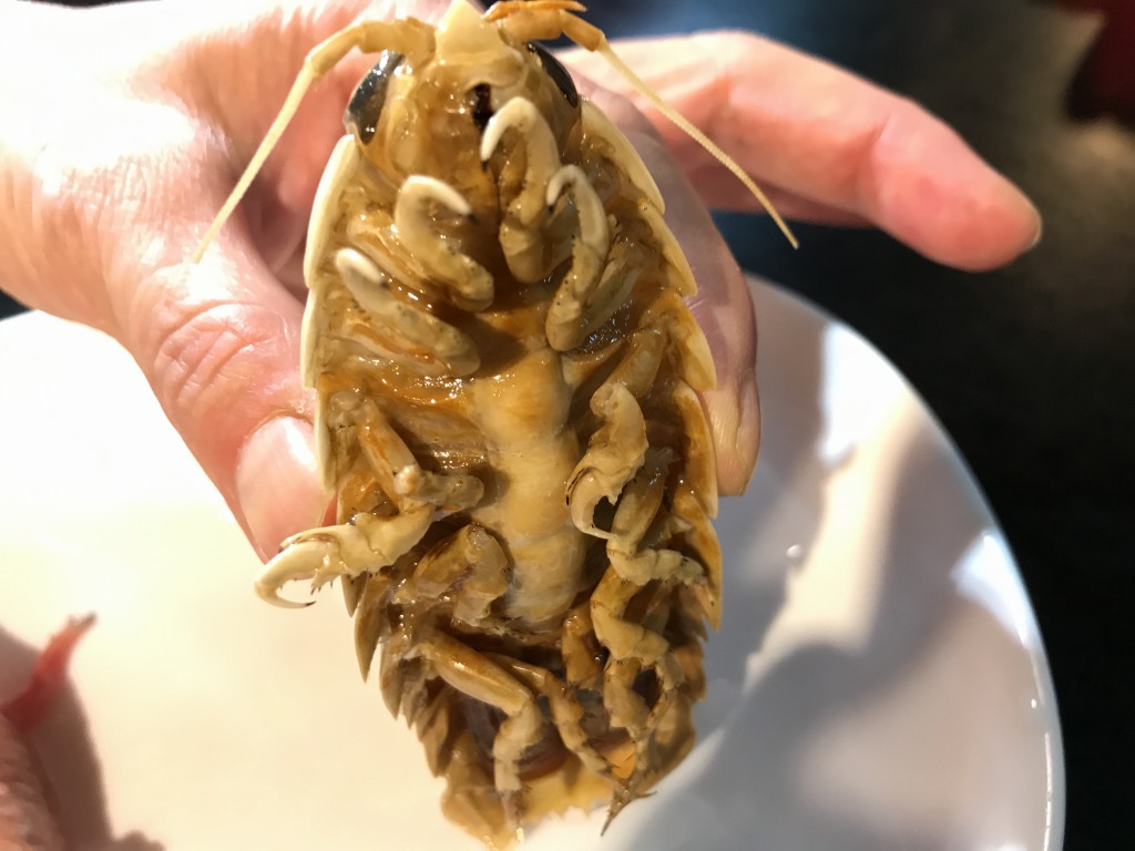 ウーパールーパー唐揚げの味と食べられる店を徹底検証！衝撃の食感と安全性の真実