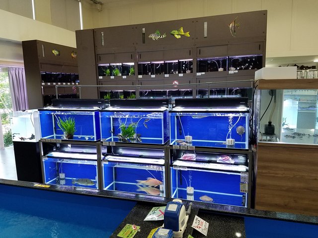 リミックス春日井店の評判と最新入荷を徹底解剖！愛知屈指の名店を追う