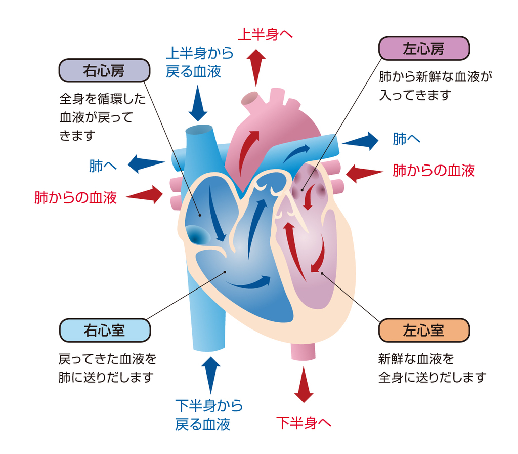 有心論の意味とは？野田洋次郎の壮絶実体験と歌詞の深層を徹底解剖