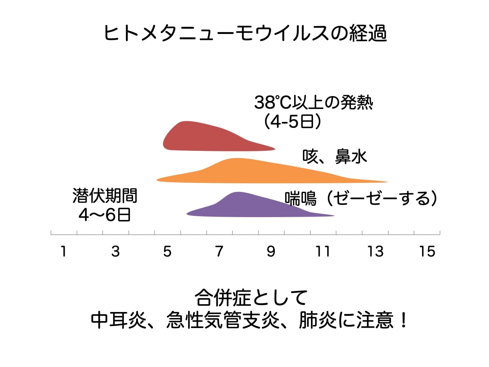 ヒトメタニューモウイルス検査の費用・保険適用を徹底解説！Rsとの違いも