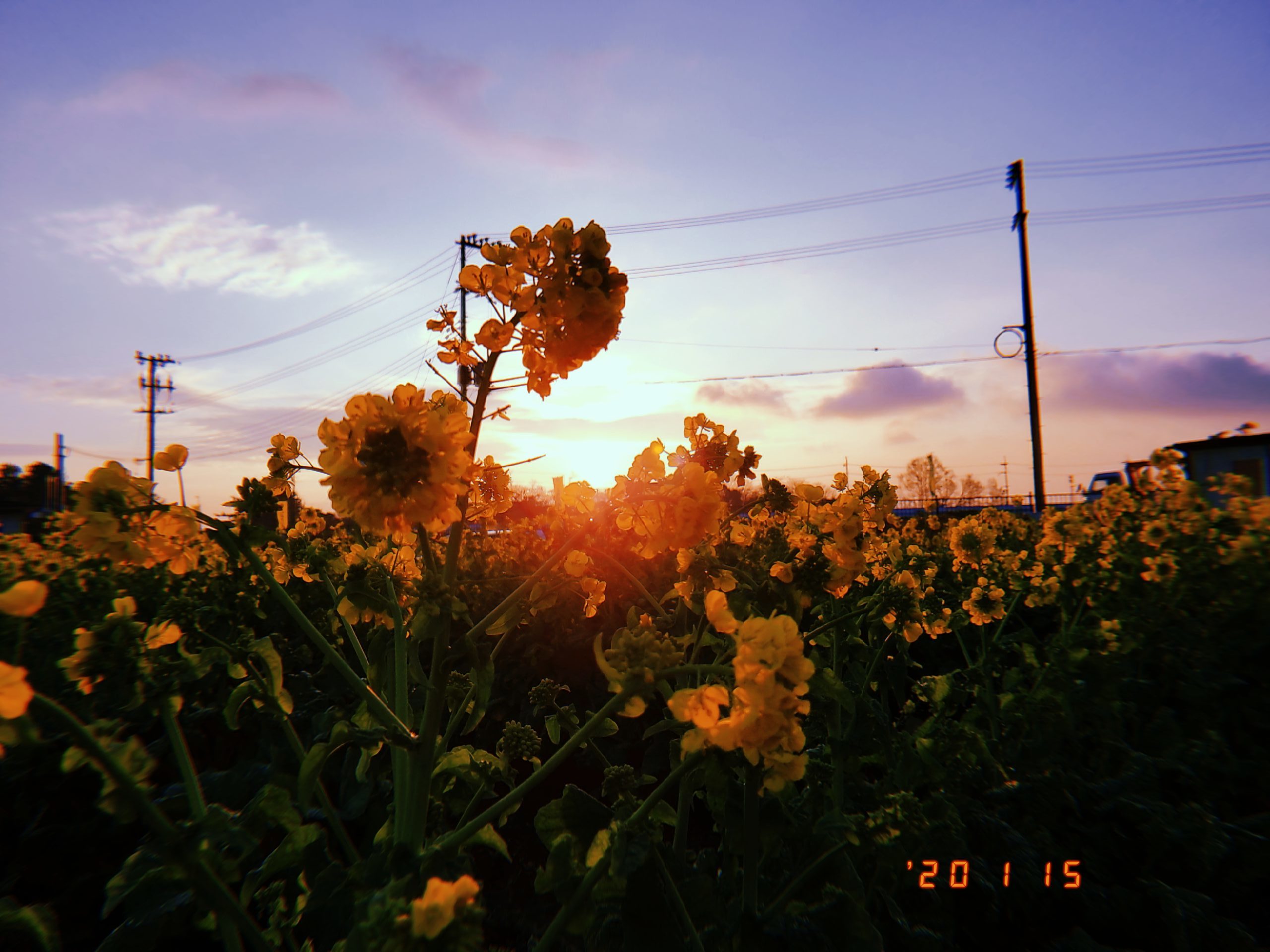 なぜ惹かれる？エモい写真の撮り方とスマホ加工テク2026