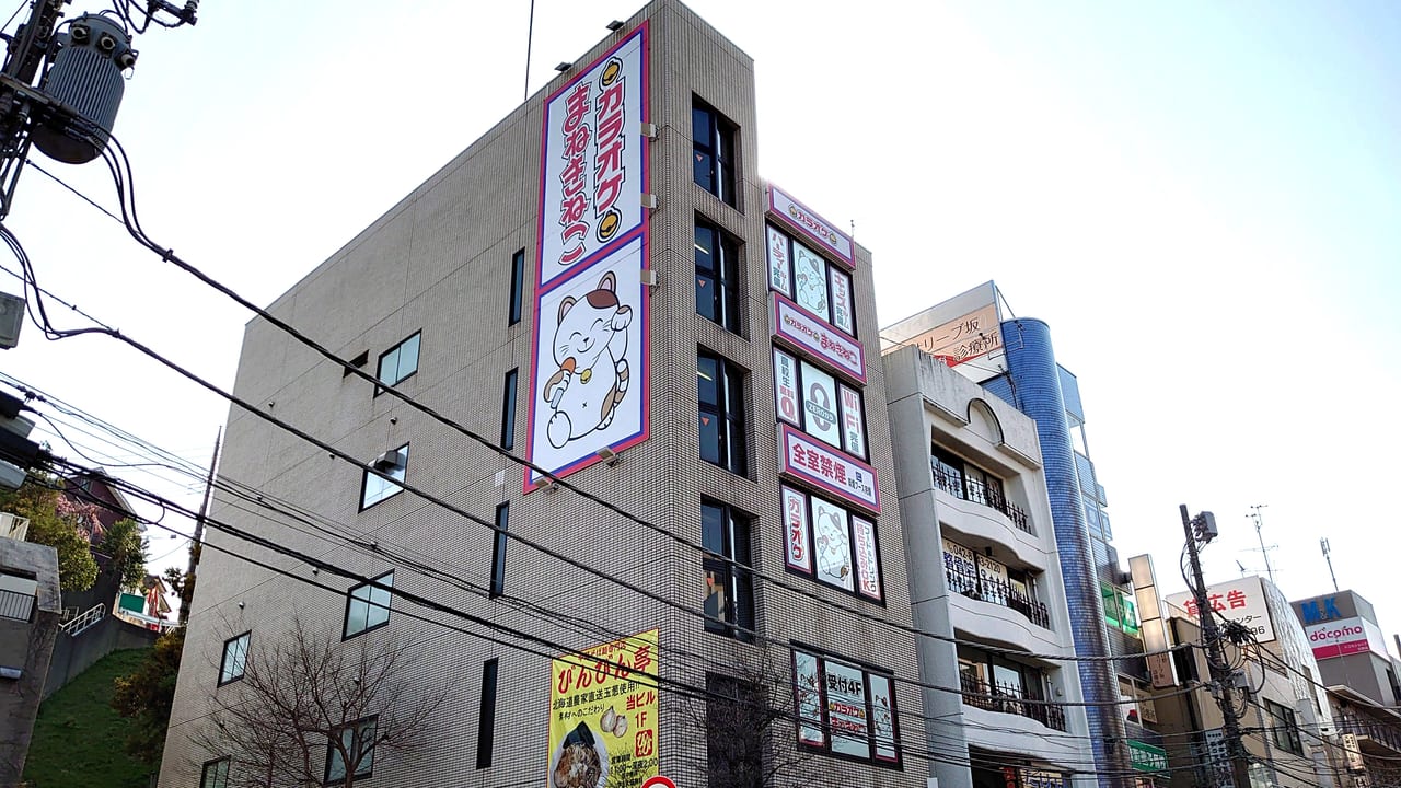 まねきねこ日野駅前店は本当に安い？朝うた料金の真相と予約術を徹底解説