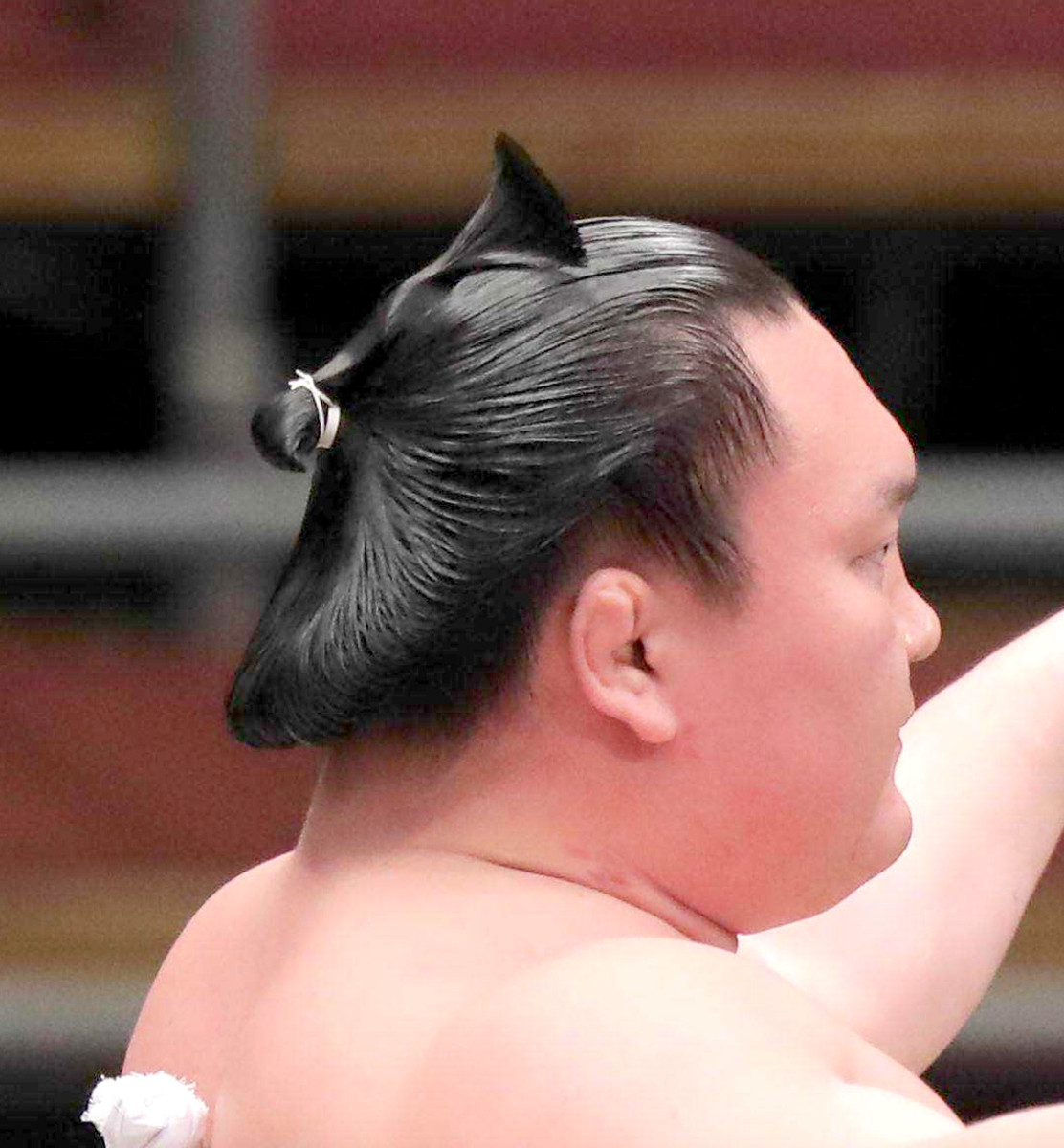 力士の髪の秘密を解明！洗髪頻度や鬢付け油の真実と薄毛引退説の真相