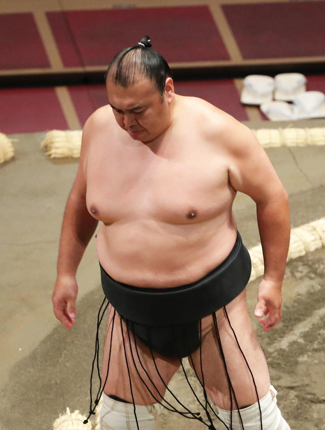 力士の最年長は誰？鉄人玉鷲の現在と歴代最高齢記録の真相【2026】