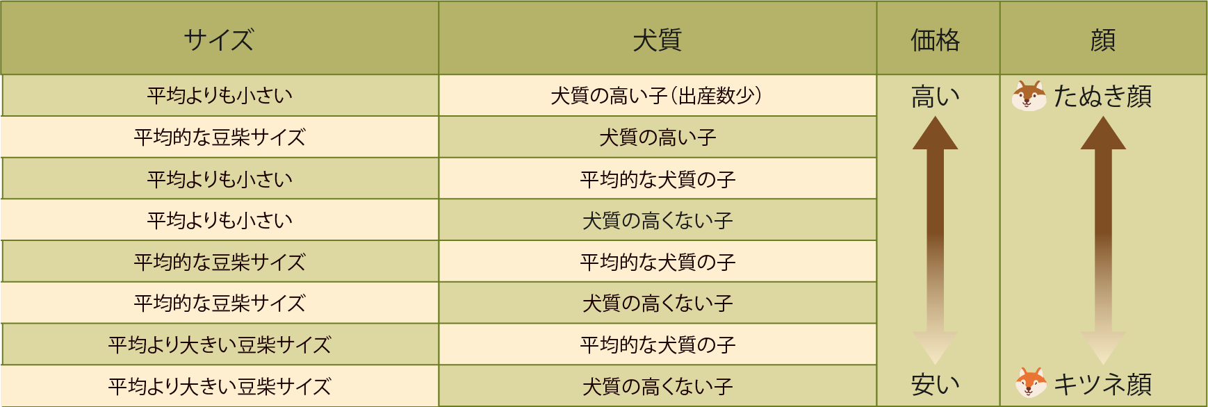 小豆柴の値段相場は？豆柴との違いや高い理由と2026年最新の飼育費