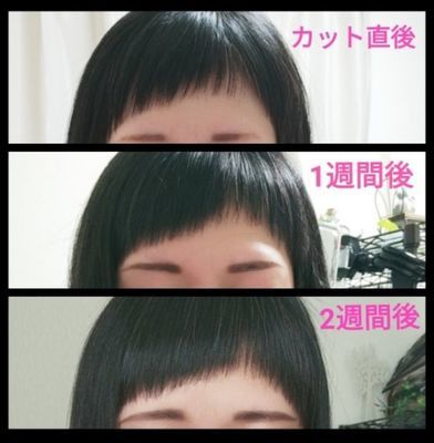 【インスタ画像】 前髪 を 切り すぎ た 経歴＆学歴まとめ 2026 #862